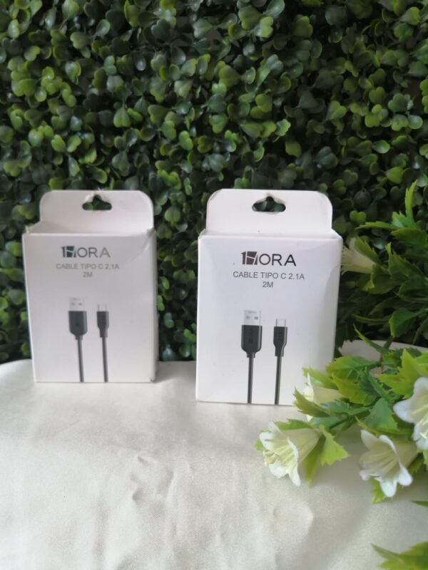 CABLE T/C 2M