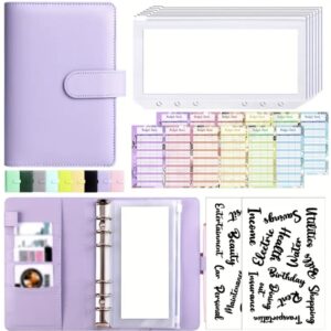 Organizador dinero morado